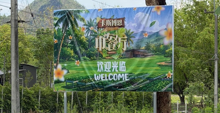 打开网易新闻 查看精彩图片