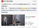 五月天自嘲“咳成猫”,杨柳飞絮从哪来、怎么治、如何防?_新闻