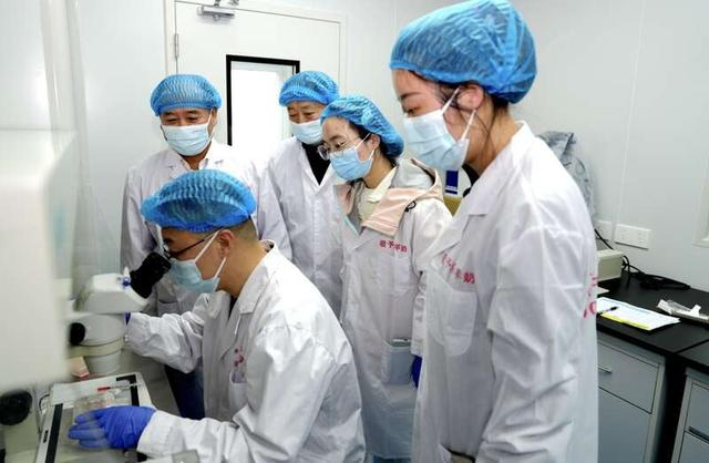 2025年12月11日，王小龙团队正在进行胚胎移植前的质量检测。西北农林科技大学/供图