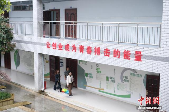 2026年3月，义乌工商职业技术学院内一景。 曹丹 摄