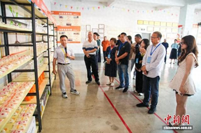 5月14日，2026年海外华文媒体南宁行活动走进广西冰客食品有限公司，了解公司发展情况。 陈冠言 摄