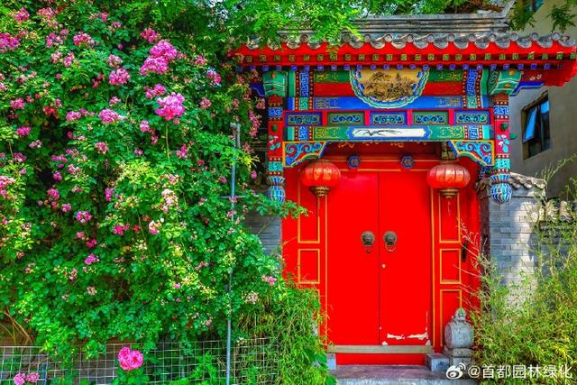 来源：北京号