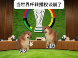 央视6000万获美加墨世界杯独家转播权