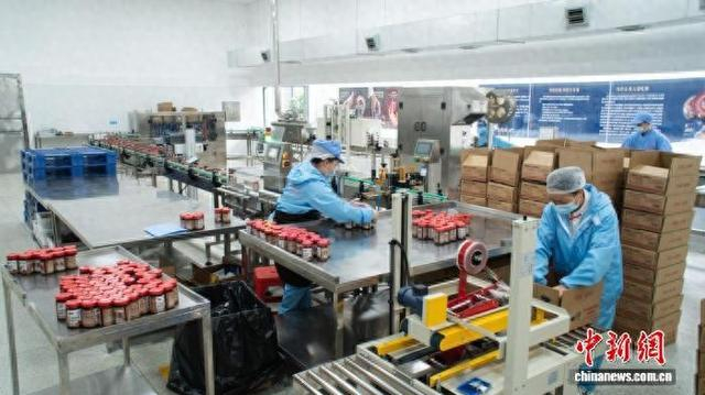 2026年5月15日，贵州榕江，工人在一家食品公司生产线上打包辣椒酱。吴家会 摄