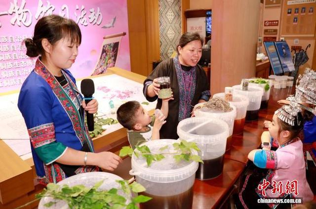 图为学子学习制作七色糯米饭。龚普康 摄
