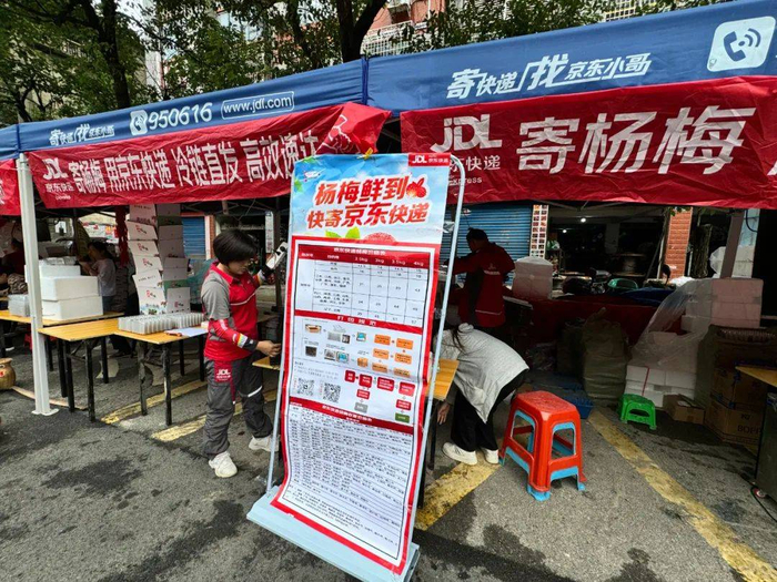 靖州杨梅 快递直达摄影/维度君