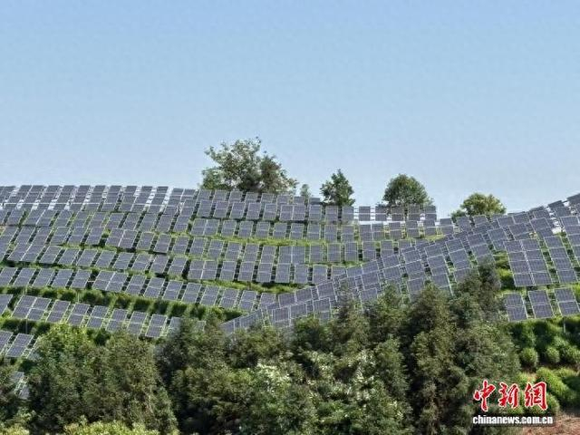 5月16日，茶光互补光伏项目现场。付敏 摄