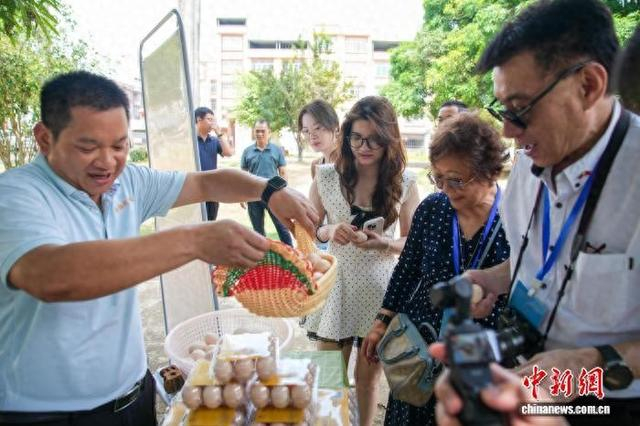 图为“侨见南宁新机遇 华媒同心向未来”2026年海外华文媒体南宁行采风团走进东风农场，品尝无抗鸡蛋。陈冠言 摄