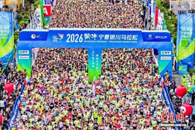 比赛现场。 组委会供图