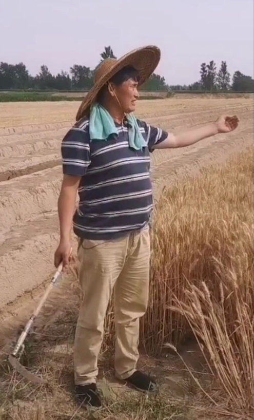 打开网易新闻 查看精彩图片 