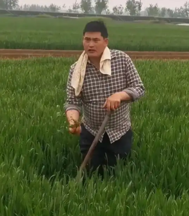  打开网易新闻 查看精彩图片 