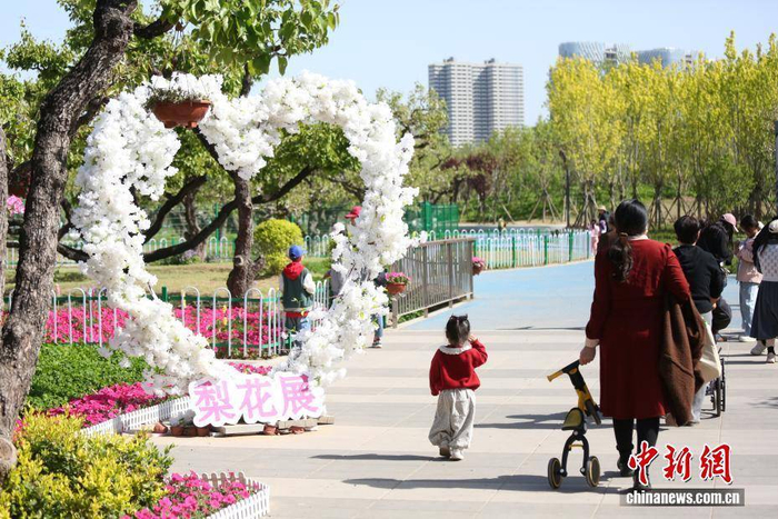 4月4日，清明假期首日，市民走进河南郑州世纪公园踏青赏景。图为市民漫步公园。中新社记者 刘鹏 摄