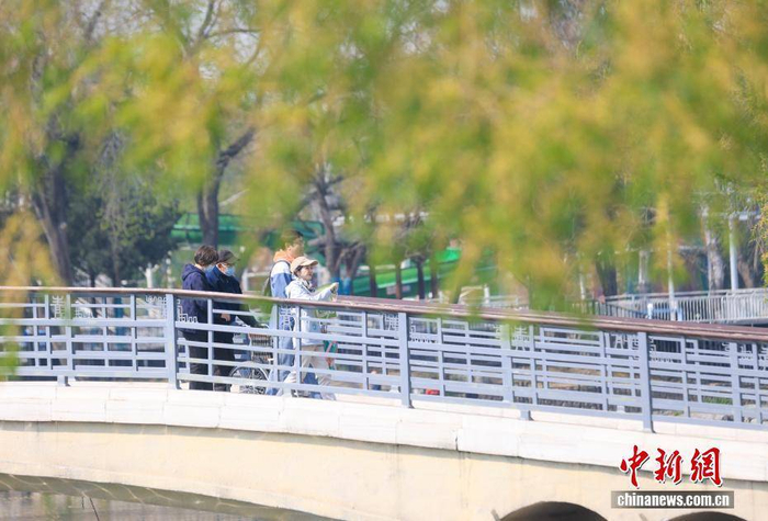 4月4日，市民在北京青年湖公园内乘船游览。当日是清明假期首日，不少市民选择到公园内踏青赏春。中新社记者 贾天勇 摄