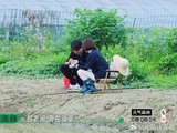 少年团参加种田综艺，半年都住村里，主打一个沉浸式