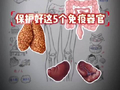 想要提高免疫力，保护好这5个免疫器官