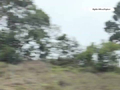 这位狗主并不是真的爱狗啊！ 如此危险，这怎么行？