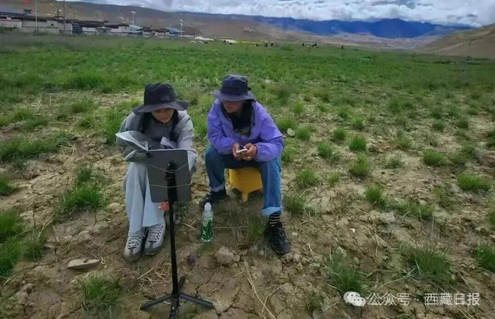图为日喀则市吉隆县宗嘎镇普拉村第十三批驻村工作队在藏野葱地里为藏野葱直播带货。