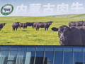 内蒙古肉牛产业（集团）有限公司揭牌成立