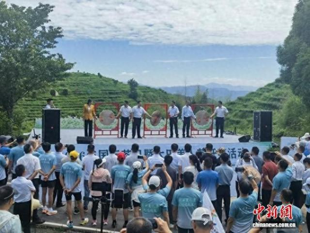 2026年国际茶日暨第六届大田美人茶开茶活动在大田屏山鸣锣开茶。林伯郊 摄
