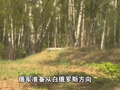 俄军要攻基辅？泽连斯基下令北部备战！