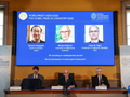 三名科学家因金属有机框架研究获2025年诺贝尔化学奖
