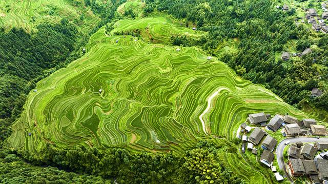 加榜梯田成功晋级国家4A级景区。视觉中国 图