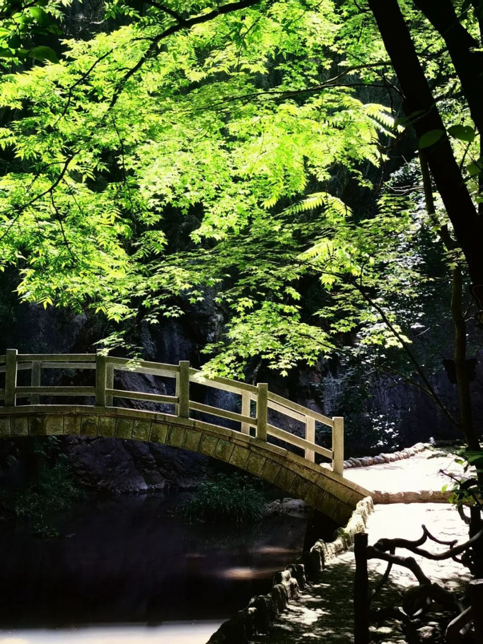 金丝峡景区 摄影：马楠
