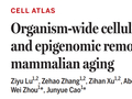 身体究竟如何衰老?华人团队Science论文,绘制衰老全景细胞图谱,揭示衰老是一个全身同步过程