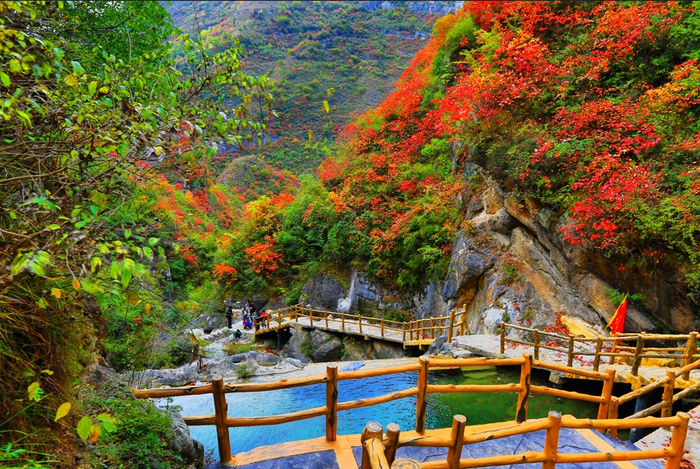 天蓬山毛家峡秋景 摄影：杨生