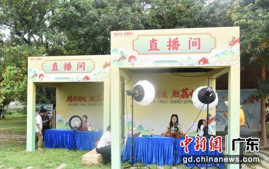 荔枝推介会带货直播现场。梁天宇 摄