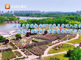 邓为温柔歌声适配花海太绝了