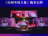 杨丞琳25年温柔回响 《房间里的大象》梅奔启程