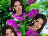 杜海涛表白沈梦辰乖乖节日快乐