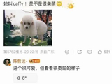 我不行了也是梦幻联动了，陈哲远说陈奕恒的狗很可爱