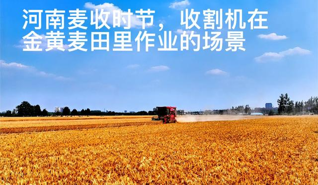 来源：河南日报