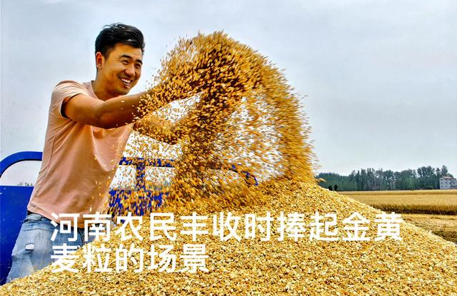 来源：河南日报