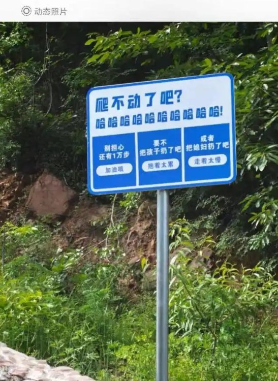 ▲游客在景区游览时看到该标语牌。图/极目新闻