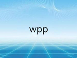 wpp[网络词语]