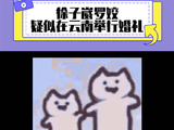 徐子崴 微博VC计划