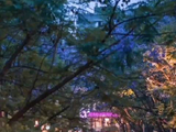 被四川的夏天治愈了