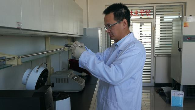 研发照片