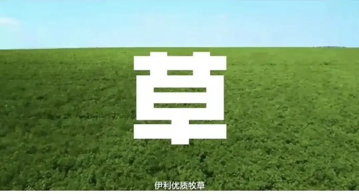 引发争议的电梯广告