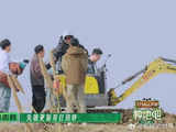 十个勤天搬树遇呼兰调侃种地