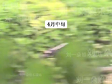 看着感觉是俊男靓女，还挺甜的哈哈哈，演员谈恋爱也没啥，也子多拍戏就行！