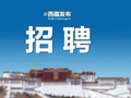 西藏交通发展集团有限公司招聘啦