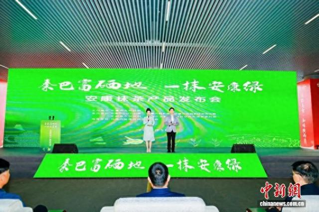图为发布会现场。安康市委宣传部供图