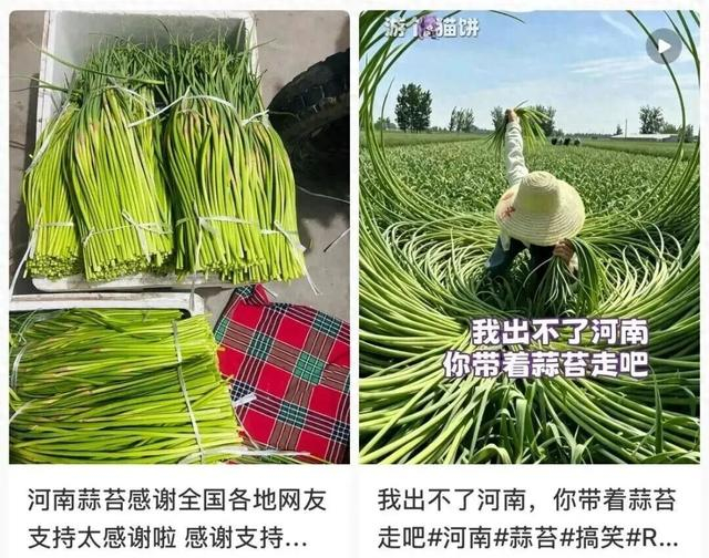 （图源：社交媒体）