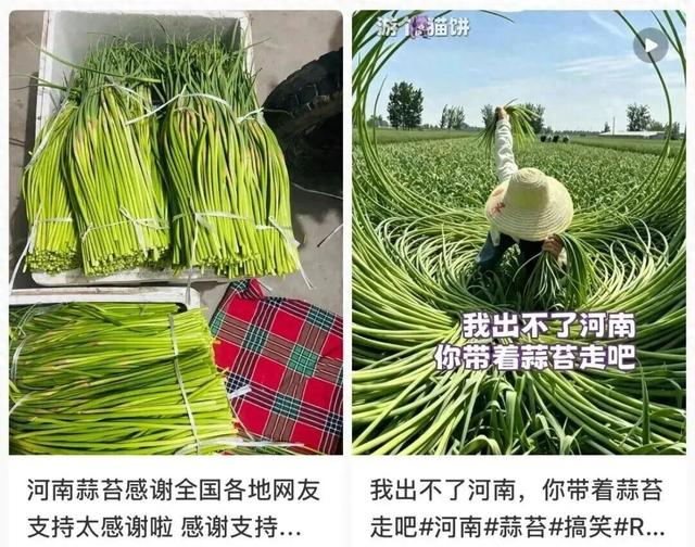 （图源：社交媒体）