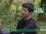 李歪歪被曝往三子饭中添料，蒋敦豪李耕耘李昊卷入事件