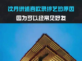 沈月曾说上综艺是为了见朋友